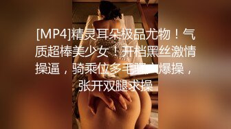 [MP4]精灵耳朵极品尤物！气质超棒美少女！开档黑丝激情操逼，骑乘位多毛骚穴爆操，张开双腿求操