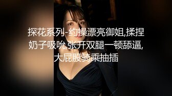 探花系列-约操漂亮御姐,揉捏奶子吸吮,张开双腿一顿舔逼,大屁股骑乘抽插