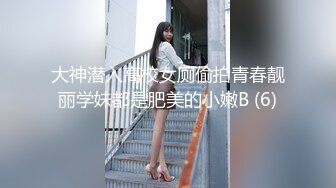 大神潜入高校女厕偷拍青春靓丽学妹都是肥美的小嫩B (6)