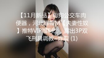 【11月新品】母狗公交车肉便器，河北绿帽M【夫妻性奴】推特VIP福利②，露出3P双飞刑具调教~炸裂 (1)