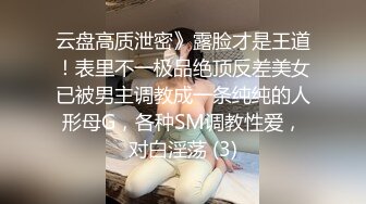 云盘高质泄密》露脸才是王道！表里不一极品绝顶反差美女已被男主调教成一条纯纯的人形母G，各种SM调教性爱，对白淫荡 (3)