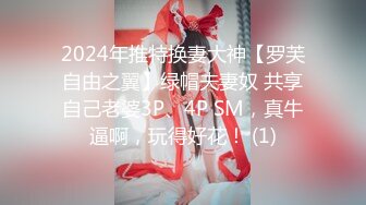 2024年推特换妻大神【罗芙自由之翼】绿帽夫妻奴 共享自己老婆3P、4P SM，真牛逼啊，玩得好花！ (1)