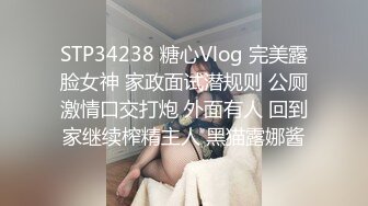 STP34238 糖心Vlog 完美露脸女神 家政面试潜规则 公厕激情口交打炮 外面有人 回到家继续榨精主人 黑猫露娜酱