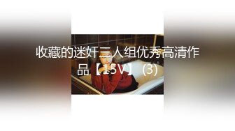 收藏的迷奸三人组优秀高清作品【15V】 (3)