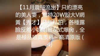 【11月震撼流出】只約漂亮的美人妻，推特20W粉大V網黃【秀才】最新私拍，各種露臉反差小姐姐被花式爆肏，全是極品妞真羨慕～高清原版 (4)