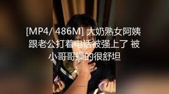 [MP4/ 486M] 大奶熟女阿姨 跟老公打着电话被强上了 被小哥哥操的很舒坦