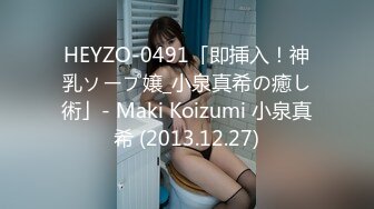 HEYZO-0491「即挿入！神乳ソープ嬢_小泉真希の癒し術」- Maki Koizumi 小泉真希 (2013.12.27)