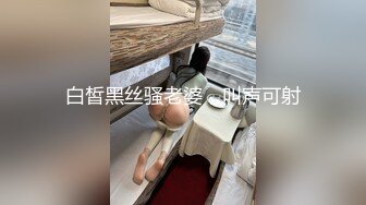 白皙黑丝骚老婆，叫声可射