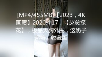 [MP4/455MB]【2023，4K画质】2020.4.17，【赵总探花】，极品大胸外围，这奶子超赞，收藏版