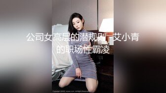 公司女高层的潜规则 -艾小青的职场性霸凌