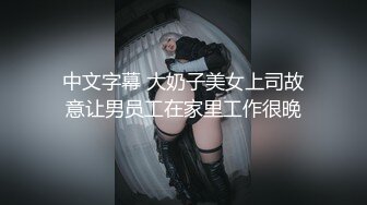 中文字幕 大奶子美女上司故意让男员工在家里工作很晚