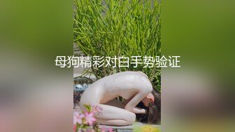 母狗精彩对白手势验证