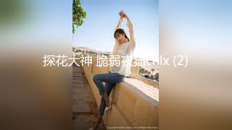 探花大神 脆弱夜猫chlx (2)